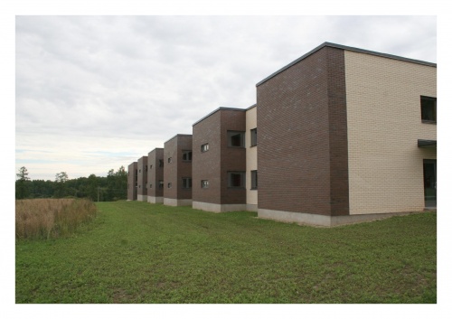 Кирпич облицовочный керамический пустотелый Terca Terra flame редуцированный шероховатый, 250*85*65 мм